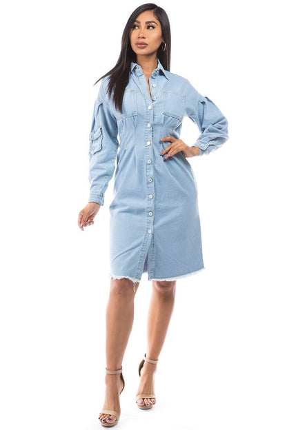 Not Choosy Denim Jacket Dress