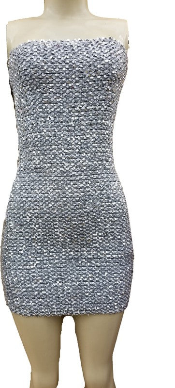 Women Sequin Tube Mini Dress With Zipper Back